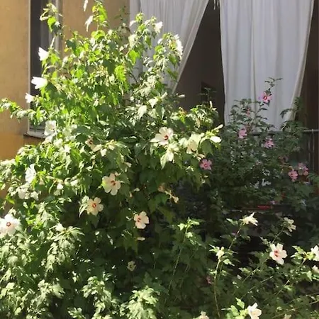 Whit A Balcony And Free Parking Space Novi Sad